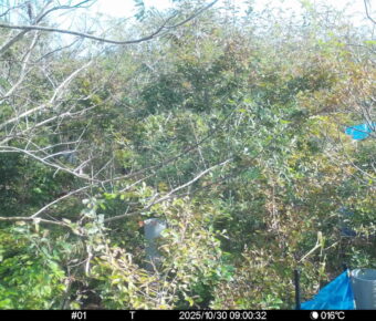 Oct 30 2025  9:00:32, #01