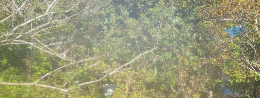 Oct 30 2025 12:00:32, #01