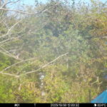 Oct 30 2025 12:00:32, #01