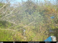 Oct 30 2025 12:00:32, #01