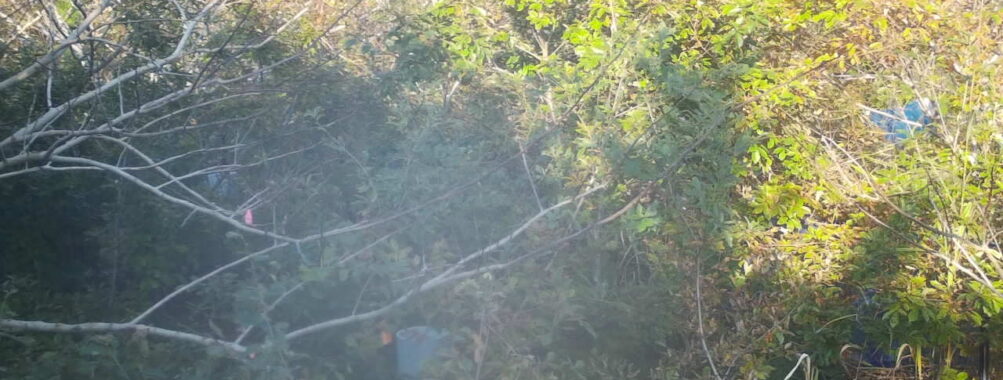 Oct 30 2025 15:00:32, #01