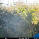 Oct 30 2025 15:00:32, #01