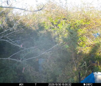 Oct 30 2025 15:00:32, #01