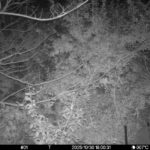 Oct 30 2025 18:00:31, #01