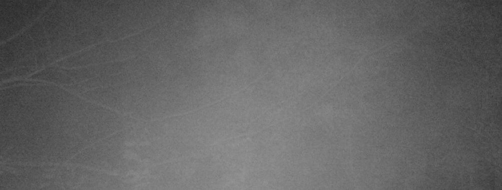 Oct 30 2025 21:00:32, #01