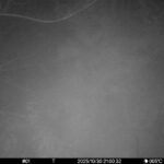 Oct 30 2025 21:00:32, #01