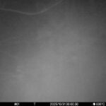 Oct 31 2025  0:00:30, #01