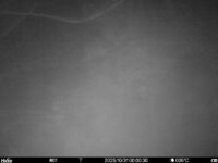 Oct 31 2025  0:00:30, #01