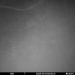 Oct 31 2025  3:00:31, #01