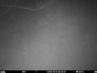 Oct 31 2025  3:00:31, #01