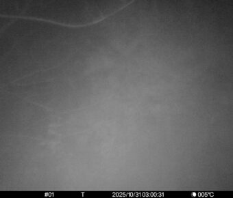 Oct 31 2025  3:00:31, #01