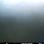 Oct 31 2025  6:00:31, #01