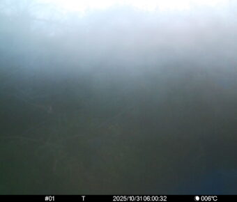 Oct 31 2025  6:00:31, #01