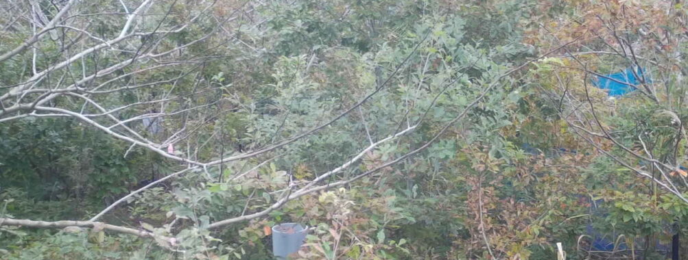 Oct 31 2025  9:00:32, #01