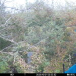 Oct 31 2025  9:00:32, #01