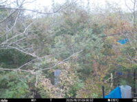 Oct 31 2025  9:00:32, #01