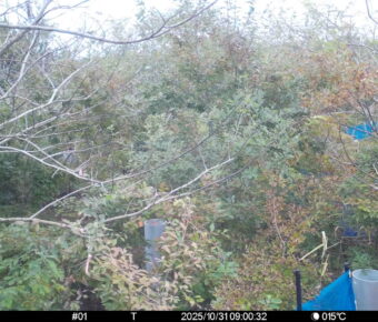 Oct 31 2025  9:00:32, #01