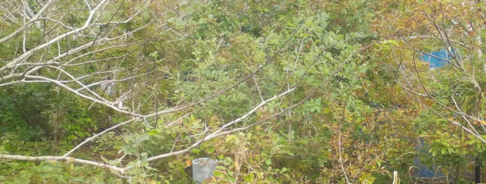 Oct 31 2025 12:00:32, #01