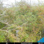 Oct 31 2025 12:00:32, #01