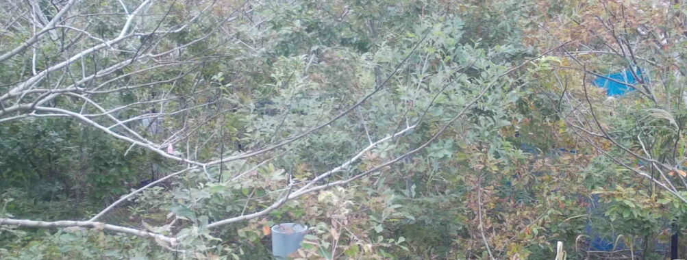 Oct 31 2025 15:00:32, #01