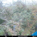 Oct 31 2025 15:00:32, #01