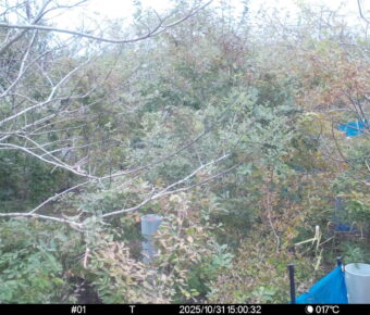 Oct 31 2025 15:00:32, #01