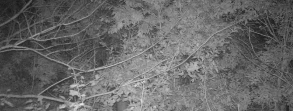 Oct 31 2025 18:00:32, #01