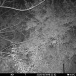 Oct 31 2025 18:00:32, #01