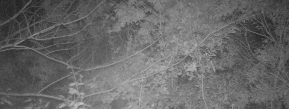 Oct 31 2025 21:00:31, #01