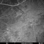 Oct 31 2025 21:00:31, #01