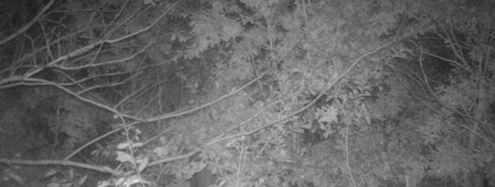 Nov 1 2025  0:00:31, #01