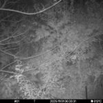 Nov 1 2025  0:00:31, #01