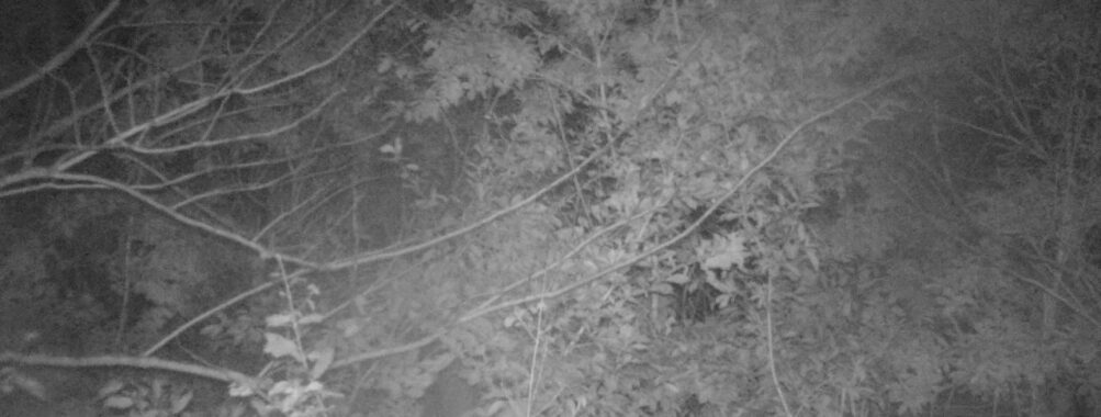 Nov 1 2025  3:00:30, #01