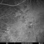 Nov 1 2025  3:00:30, #01