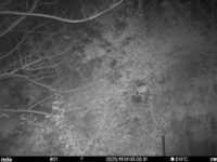 Nov 1 2025  3:00:30, #01