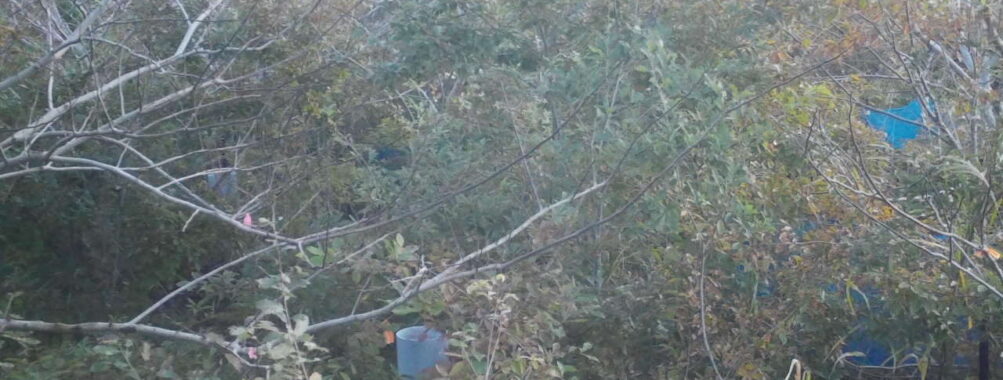 Nov 1 2025  6:00:32, #01