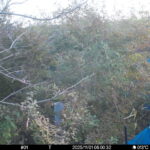 Nov 1 2025  6:00:32, #01