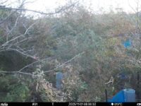 Nov 1 2025  6:00:32, #01