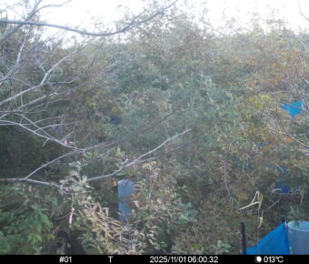 Nov 1 2025  6:00:32, #01