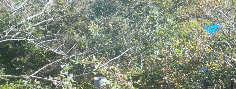 Nov 1 2025  9:00:31, #01