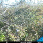 Nov 1 2025  9:00:31, #01