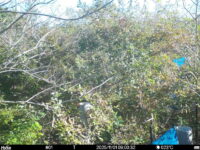 Nov 1 2025  9:00:31, #01