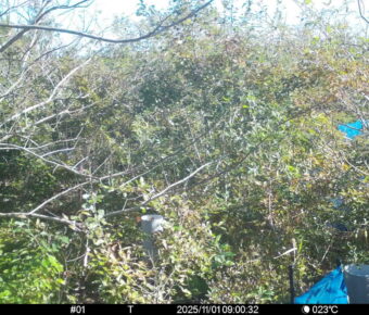 Nov 1 2025  9:00:31, #01