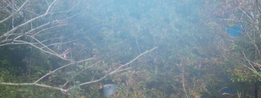 Nov 1 2025 12:00:30, #01