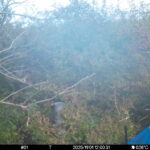 Nov 1 2025 12:00:30, #01