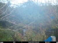 Nov 1 2025 12:00:30, #01