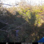 Nov 1 2025 15:00:31, #01