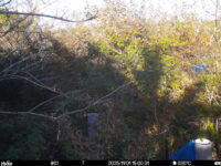 Nov 1 2025 15:00:31, #01