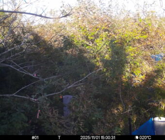 Nov 1 2025 15:00:31, #01