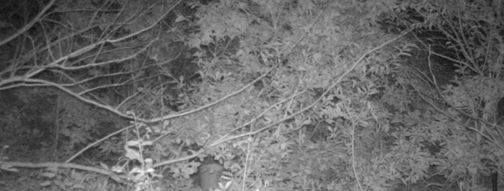 Nov 1 2025 18:00:30, #01